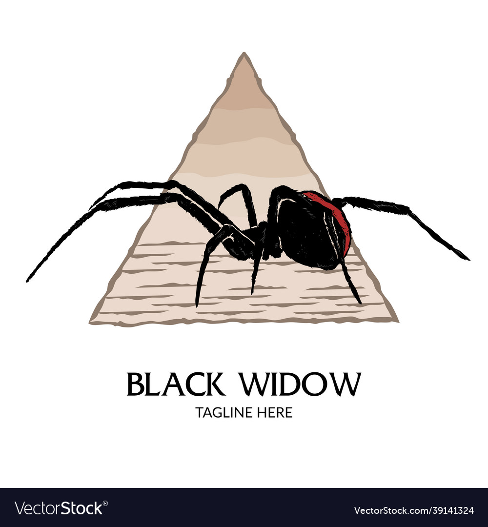 Black widow spider logo design