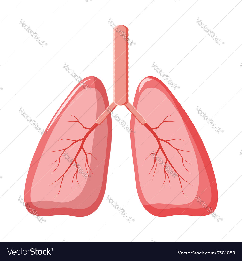 Lungs Clipart Svg Picture Lungs Clipart Svg | The Best Porn Website