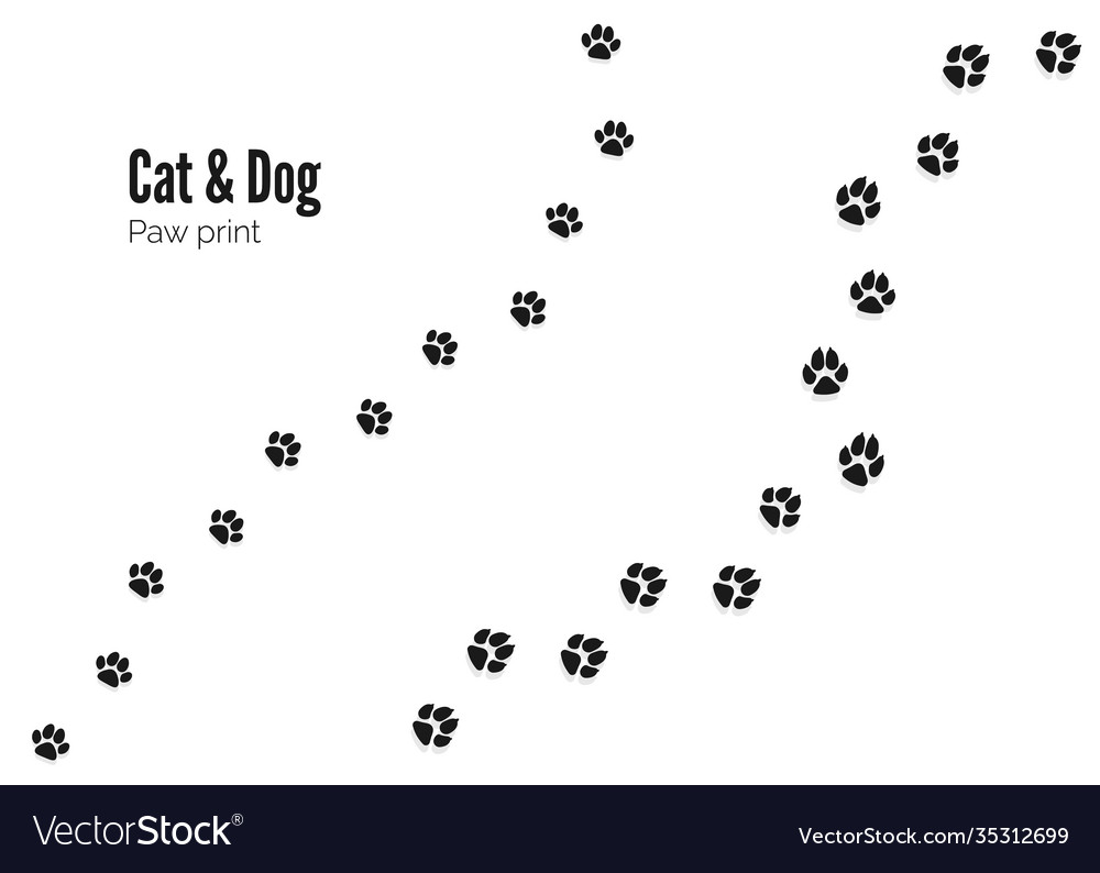 Cat and dog paw print pets or animals trail Vector Image