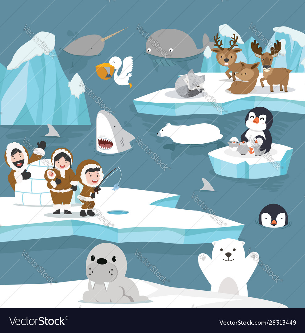 Arctic animals cartoon template set Royalty Free Vector