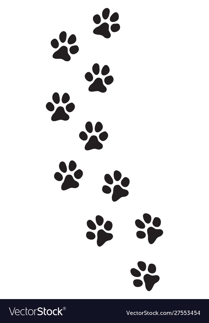 Dog Paw Prints Track Royalty Free Vector Image