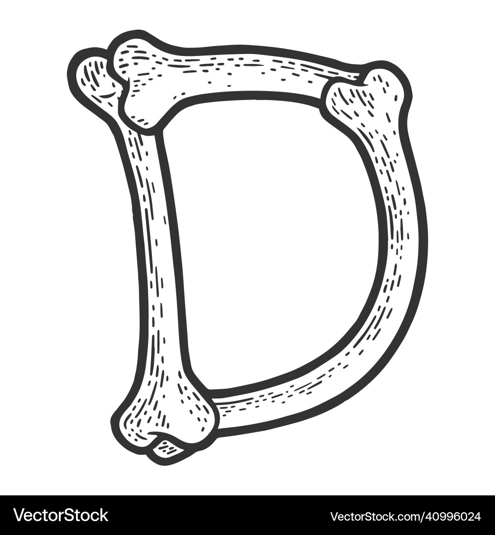 Letter d made of bones sketch Royalty Free Vector Image