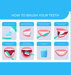 How to brush your teeth step-by-step instruction Vector Image