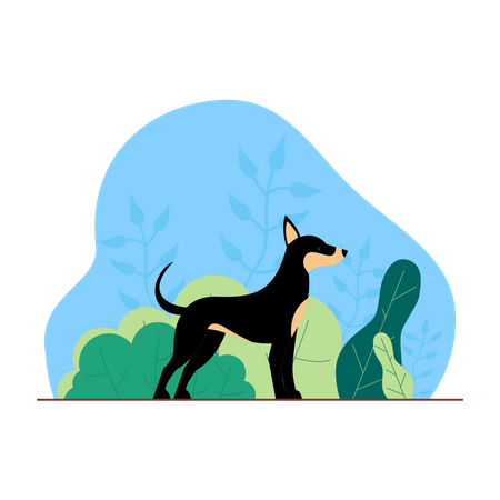 Cão selvagem  Ilustração