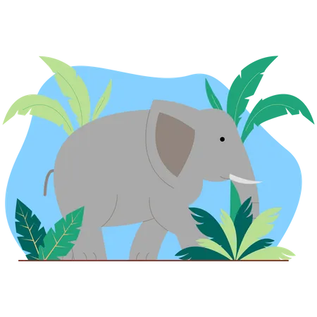 Elefante  Ilustração