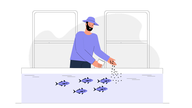 Fisher man giving food to fish  Illustration