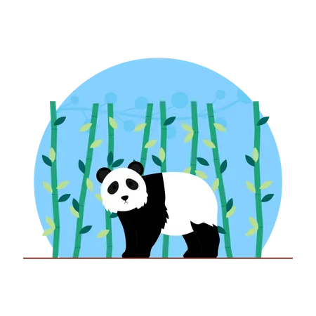 Panda  Ilustração