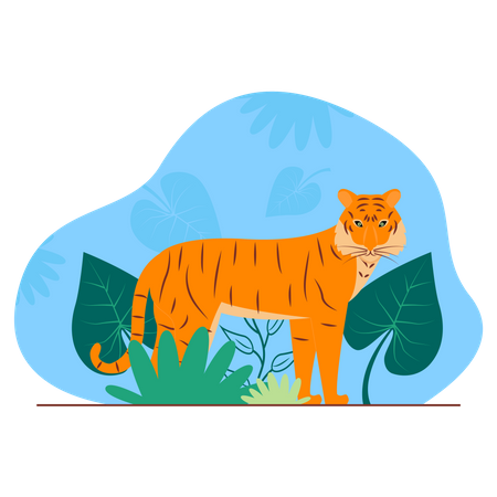 Tigre  Ilustração