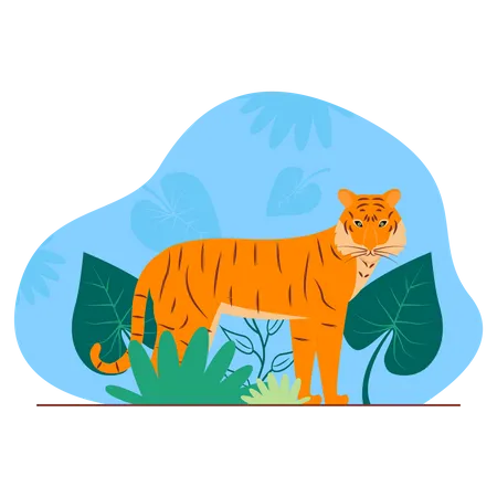 Tigre  Ilustração