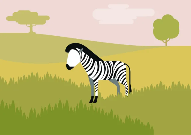 Zebra  Ilustração