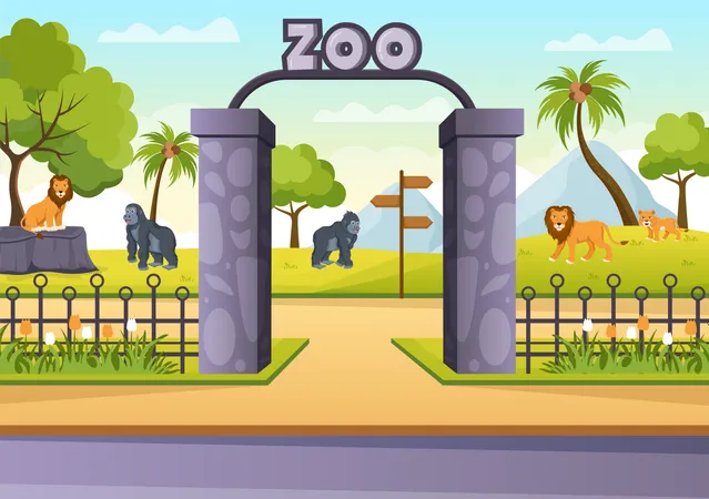 Zoo  Illustration