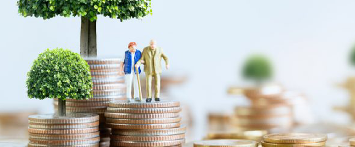 5 Best Investment Plan for Senior Citizens in India 2025