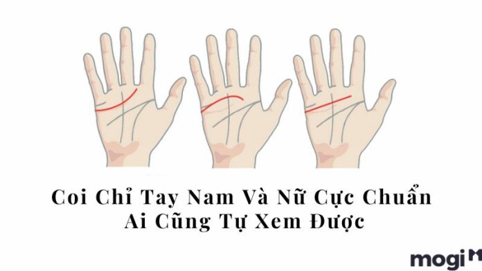 coi chỉ tay