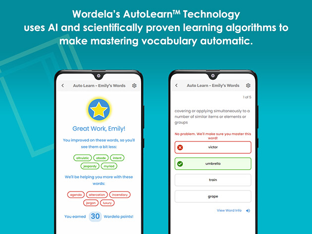 Wordela Vocabulary Mastery: Lifetime Subscription | StackSocial