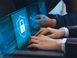 The CISSP Security & Risk Management Training Bundle