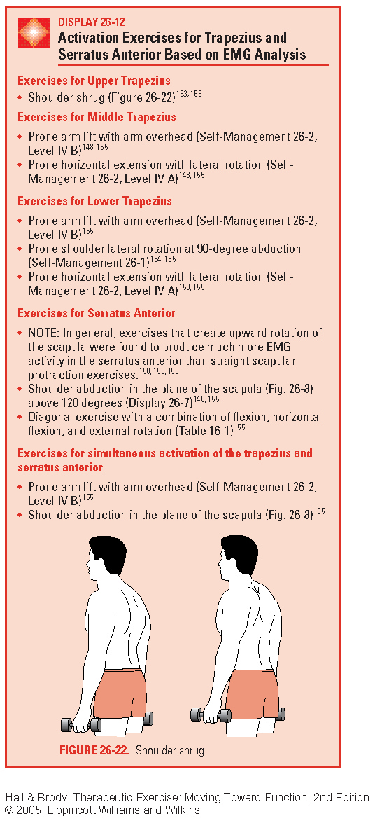 Long Thoracic Nerve Diagram