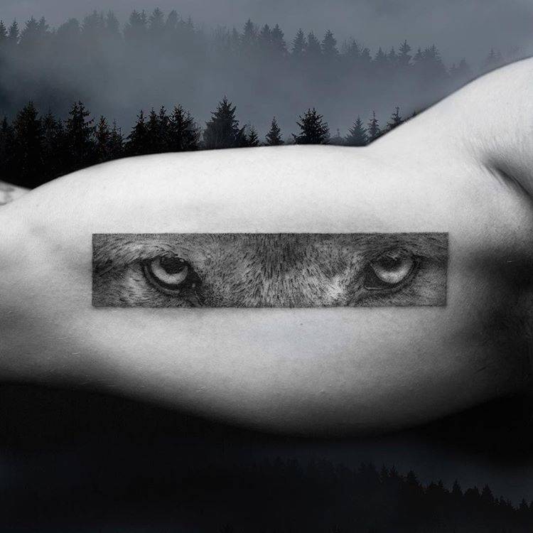 Eyes of a wolf