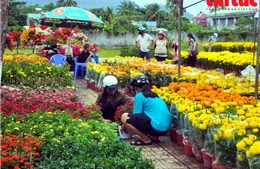 Chợ hoa Xuân vùng biên An Giang nhộn nhịp ngày cận Tết