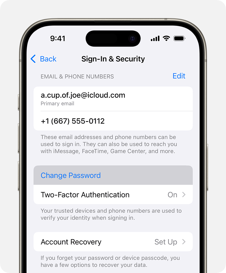 iPhone showing the Change Password button in Settings