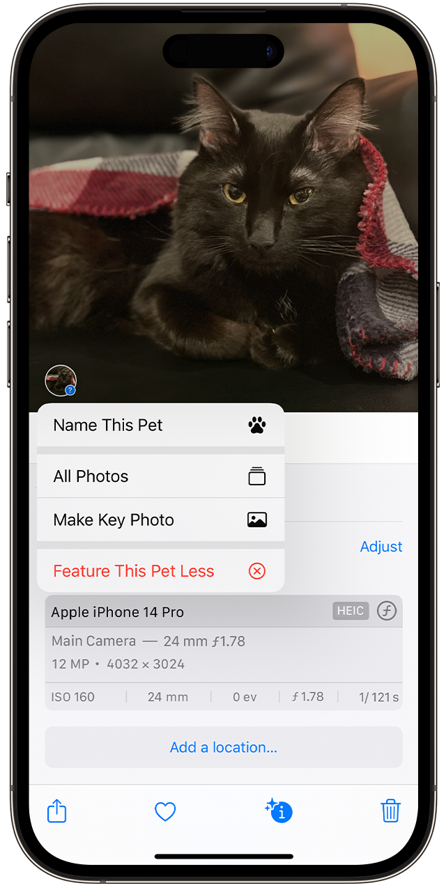 os-17-iphone-14-pro-photos-pet-info-on-tap