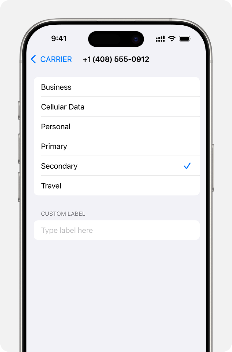 Dual eSIM setup menu with list of mobile plan labels