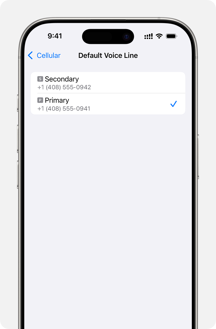 dual eSIM setup screen for selecting default number.