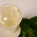 A tall champagne flute of sparkling mint wine, with a large spring of mint at the base of the glass. White background.