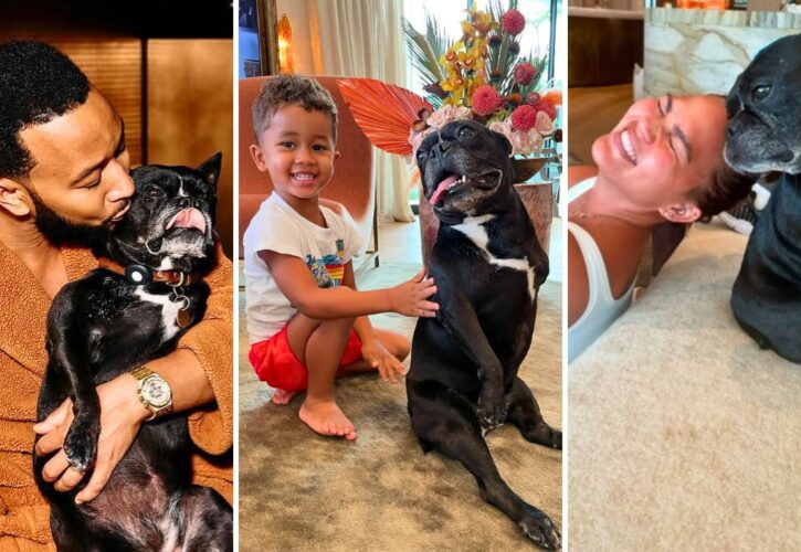 Chrissy Teigen and John Legend Mourn the Loss of Their Frenchie Penny ‘Our Beautiful Little Tripod Queen’