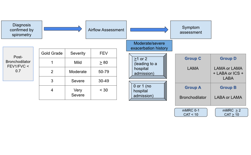 graphic showing COPD Assessment