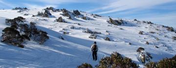 Mga budget hotel sa Thredbo