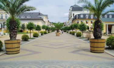 Hoteluri în Františkovy Lázně