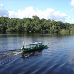 Manaus