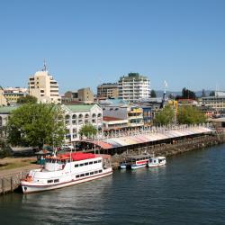 Valdivia 404 hotels