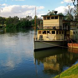 Albury 22 hotéis que aceitam animais de estimação