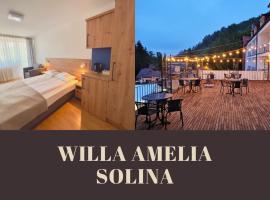 Willa Amelia, hotel v mestu Solina