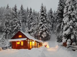 Chalet Woody, chalé em Stara Sušica