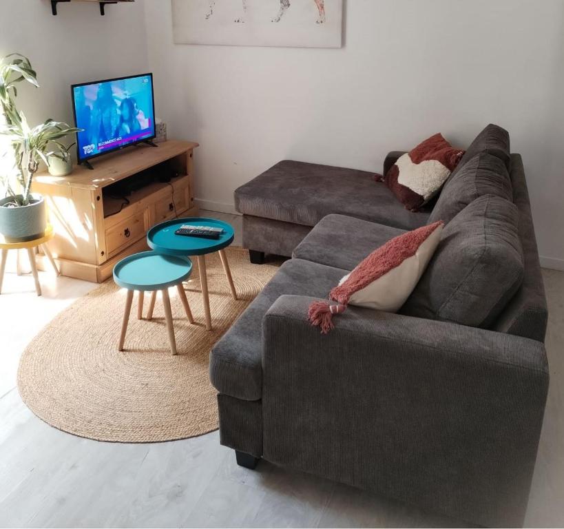 een woonkamer met een bank en een tv bij MAISON NGP in Aigueblanche