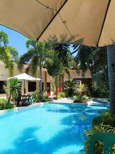 a large blue swimming pool with chairs and trees at Softstone resort in Panglao Island