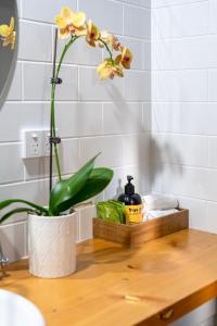 a wooden table with a plant on top of it at Willunga Gallery Cabins in Willunga