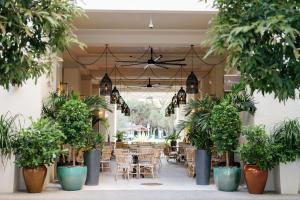 a patio with potted plants and a table and chairs at THesis Hotel Miami Coral Gables, Curio Collection by Hilton in Miami