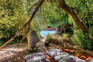 a pool with a large vase sitting next to a tree at Villa Helderberg in Somerset West