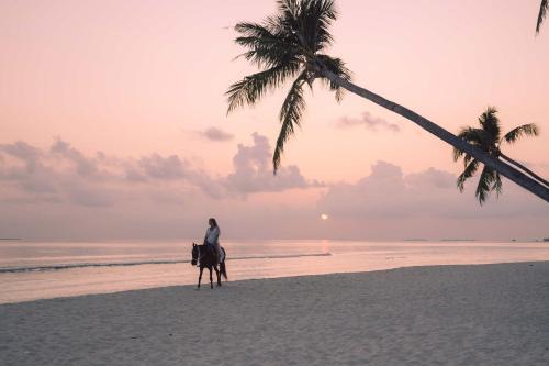 a person riding a horse on the beach with a palm tree at Siyam World Maldives - 24-Hour Premium All-inclusive with Free Transfer in Dhigurah