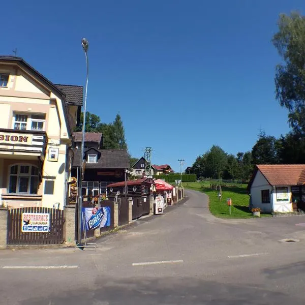 Pension u Havrana, hotel din Jetřichovice