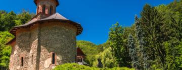 Hotels near Prislop Monastery