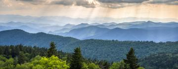 Отели, где разрешено размещение с домашними животными в регионе Great Smoky Mountains National Park