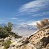 Hoteli pogodni za kućne ljubimce u regiji Eastern Sierra