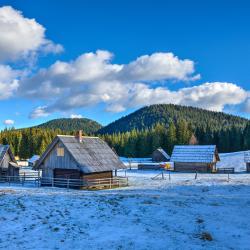 Pokljuka 20 casas rústicas