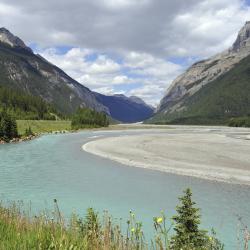 Kicking Horse