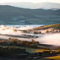 Yarra Valley