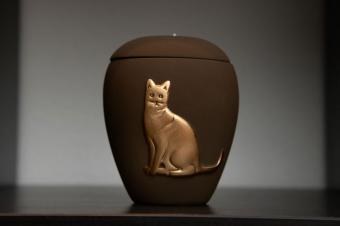 Cat urn stands on a shelf